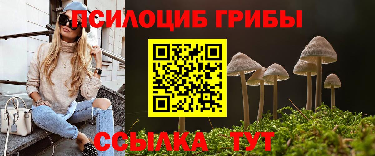 цена наркотик  Галлюциногенные грибы Psilocybe  Вход с VPN  Иваново 